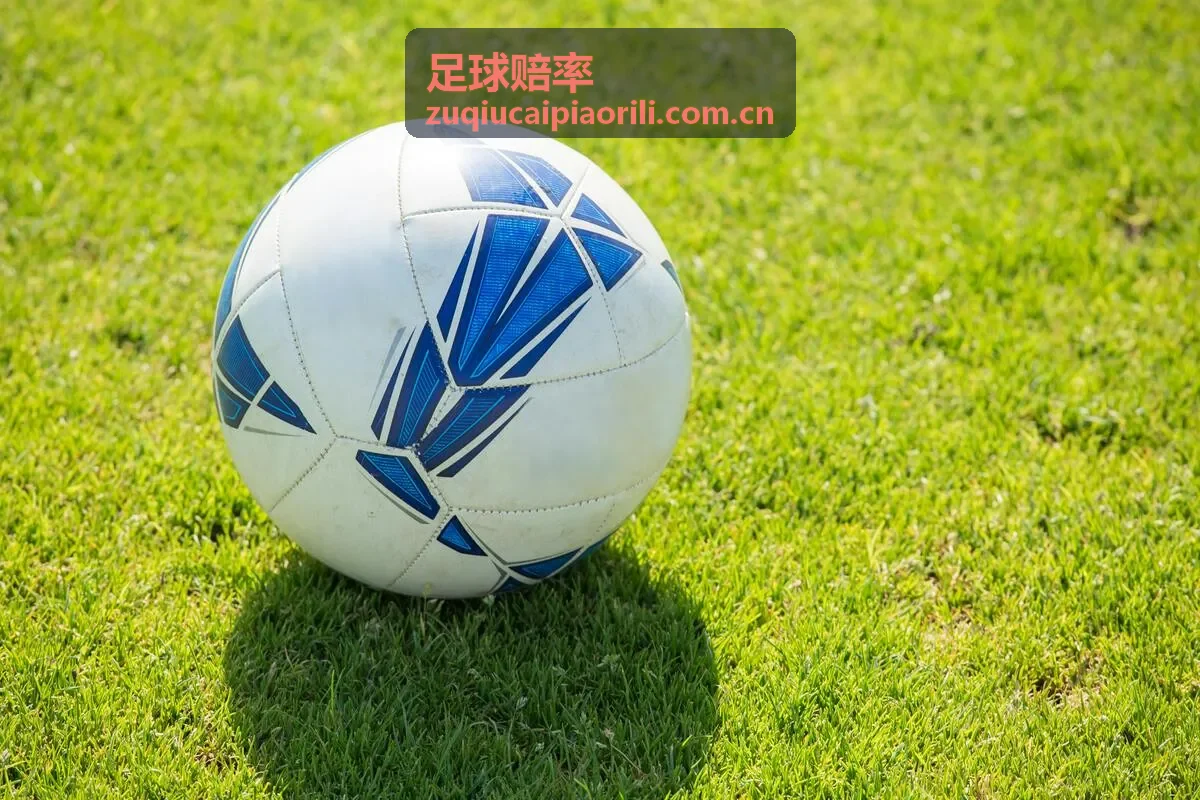 投注策略实操流程指南